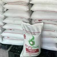 ราคา เมล็ด ถั่วแขก ธัญญาทิพย์แดง 10 กิโล (1731801478632997922)