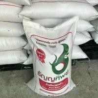 ราคา เมล็ด ถั่วแขก ธัญญาทิพย์แดง 10 กิโล (1729683057119758370)