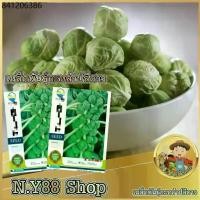ราคา เมล็ดพันธุ์กะหล่ำปลีดาว พันธุ์OP 100เมล็ด เมล็ดกะหล่ำดาว เมล็ดผักสวนครัวต่างประเทศ ปลูกง่าย อัตราความงอกสูง เก็บเกี่ยวผล (1731789022660298555)