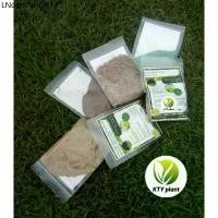 ราคา เมล็ดหญ้า100กรัม เบอร์มิวด้า, พาสพาลัม, หญ้านวลน้อย, มาเลเซีย100 กรัม 500,000เมล็ด (1731829495598843104)