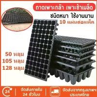 ราคา 10/5pcs ถาดเพาะต้นอ่อน ถาดเพาะกล้า ถาดเพาะชำ เมล็ด เพาะปลูก ฟองน้ำ ต้นอ่อน ต้นกล้า แบบมีรู หนา ต้นอ่อน เมล็ด ไฮโดร ถาดเพาะต้นกล้า ถาดเพาะเมล็ด ถาดเพาะกล้า ถาดเพาะชำ ถาดเพาะ ถาดเพ (1732394241968604345)