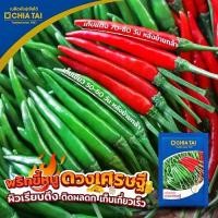 ราคา เมล็ดพริกขี้หนู ดวงเศรษฐี ขนาด1,000เมล็ด ตราเจียไต๋ เมล็ดพันธุ์พริกขี้หนู พริกขี้หนูดวงเศรษฐี เมล็ดพันธุ์พริก เจียไต๋ (1729659304293927493)