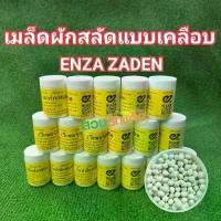 ราคา [COD] เมล็ดพันธุ์ผักสลัด แบบเมล็ดเคลือบ ENZA ZADEN อัตราการงอก 99% แบ่งบรรจุ 20/100 เมล็ด (1732242034453414996)