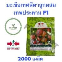 ราคา เมล็ดมะเขือเทศสีดาลูกผสม เทพประทาน F1 จำนวน 2000 เมล็ด ซองใหญ่ (1729612602785827656)