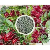 ราคา (ซื้อ 3 แถม 1)เมล็ดพันธุ์กระเจี๊ยบแดงพันธุ์ดอกใหญ่ บรรจุ 300 ++เมล็ด/ซอง ปลูกไว้สวนครัวสารพัดประโยชน์ ต้น กระเจี๊ยบแดง (1730004023441132084)