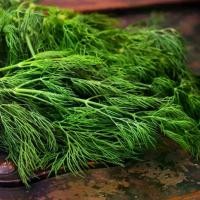 ราคา เมล็ดผักชีลาว 3000 เมล็ด มีบริการเก็บเงินปลายทาง (1732530983858570313)