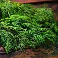 ราคา เมล็ดผักชีลาว 3000 เมล็ด มีบริการเก็บเงินปลายทาง (1729696300083677257)