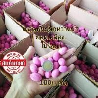 ราคา เมล็ดผักหวานป่า100เมล็ด พันธุ์ยอดเหลืองใบใหญ่ ปี2568 (1731717220925408550)