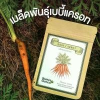 ราคา เมล็ดพันธุ์เบบี้แครอท (มี 8เมล็ด) (1729582852114123481)