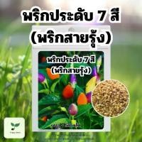 ราคา เมล็ดพันธ์ุ พริกมงคล | พริกประดับ 7 สี | พริกสายรุ้ง บรรจุ 50 เมล็ด พริก (1731215895254173894)