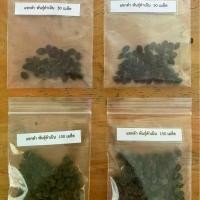 ราคา เมล็ดพันธุ์มะละกอแขกดำ พันธุ์ดำเนิน 150 เมล็ด พร้อมวิธีปลูก (1729665821356231617)