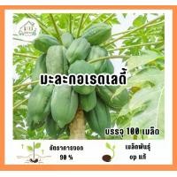 ราคา เมล็ดพันธุ์มะละกอเรดเลดี้ บรรจุ 100 เมล็ด (1732272635868055525)
