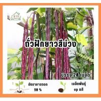 ราคา เมล็ดพันธุ์ถั่วฝักยาวสีม่วง บรรจุ 20 เมล็ด (1732318633768093669)
