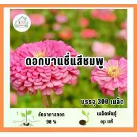 ราคา ้เมล็ดพันธุ์ดอกบานชื่นสีชมพู บรรจุ 300 เมล็ด (1732278826888038373)