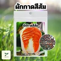 ราคา เมล็ดพันธ์ุผักกาดสีส้ม 300เมล็ด (1731215983433320646)