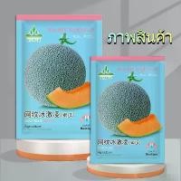 ราคา พร้อมส่ง 50 เมล็ด เมล็ดพันธุ์เมล่อน (เนื้อส้ม) เมล็ดแคนตาลูป เมล็ดเมล่อน เมล่อน แคนตาลูป เมล็ดเมล่อน งอกดี AA-92 (1731903713675086198)