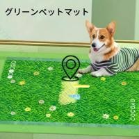 ราคา พรมปูพื้นสัตว์เลี้ยง สีเขียว ขนาด M/L/XXL 20/10/5 ชิ้น เหมาะสำหรับขนาดสัตว์เลี้ยงใด ๆ ดูดซับได้ดี นุ่มสบาย พื้นผิวแห้ง ป้องกันกลิ่น ไม่ซึม สามารถใช้ได้ทั้งแมวและสุนัข ใช้ในร่มและ (1732440358907316178)