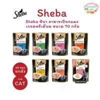 ราคา (ส่วนลดสุดพิเศษ) ยกลัง24ซอง Sheba ชีบา อาหารเปียกแมว เกรดพรีเมี่ยม ขนาด 70 กรัม สัตว์ นํ้า อบทอง แมว แคทตี้ 10 โล ปลาทู ขนมไข่ หมา เพดดิกรี เพาช์ โหล จุ่ม อาหารเปียกสุนัข (1732112136674052069)