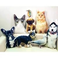 ราคา หมอนรูปสัตว์เลี้ยง ปรับแต่งได้ ของขวัญ DIY เหมาะสำหรับสัตว์เลี้ยง สุนัข แมว ปรับแต่งและเป็นส่วนตัว เบาะ cat water play mat แผ่นรอง กรงสัตว์ เลี้ยง dog bed ที่ นอนแมว หลุม อวกาศ (1732489333790967006)