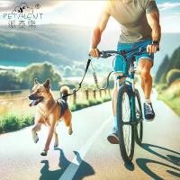 ราคา สุนัขเดินรถจักรยาน, แท่งเดิน, สายจูงสัตว์เลี้ยง, สำหรับกิจกรรมกลางแจ้ง, หยุดชะงักยืดหยุ่นหดได้, เหมาะสำหรับสุนัข, สุนัข (1732129984075237086)