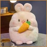 ราคา ตุ๊กตาสัตว์ ตุ๊กตานุ่ม 9.84 นิ้ว กอดกะหล่ำปลี ของเล่นตุ๊กตาน่ารัก มีกระต่าย สุนัข และตุ๊กตาไก่ หมอน (1732607338807461312)