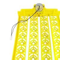 ราคา ถาดฟักไข่อัตโนมัติ 32 ฟอง เหมาะสำหรับเป็ด นก ลูกไก่ และฟักไข่สัตว์ปีก อุปกรณ์ฟักไข่ (1731904352695846174)