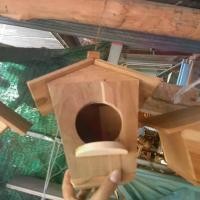 ราคา จัดส่งที่รวดเร็ว * บ้านนก บ้านไม้นก บ้านสัตว์เลี้ยง บ้านนกนอน สำหรับ นก หนู กระรอก ชูก้า ไกรเดอร์ นกหงษ์หยก มีที่แขวน ทำจากไม้สักทอง สวยงาม แข็งแรง ทนทาน (1731942418764695043)