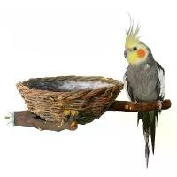 ราคา รังนกสาขาธรรมชาติ, ทำด้วยมือ, หวายทอ, รังหญ้าทอ, เหมาะสำหรับนกแก้ว, นกขนาดเล็ก, คอก, นกเลิฟเบิร์ด, และ Budgerigar, การออกแบบทางนิเวศวิทยา นก ค๊อกคาเทล บ้าน บ้าน นก ค๊อกคาเทล (1732567211141596184)