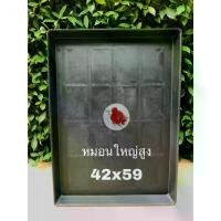 ราคา Certified productsถาด ถาดรองกรง ถาดรองฉี่ สุนัข แมว นก ถาดรองกรงหมอนใหญ่สูง ขนาด 42×59ซม. ทำจากพลาสติกแข็งอย่างดี สีดำ ล้างทำความสะอาดง่าย ทนทาน (1732467220076201880)