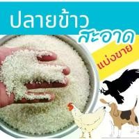 ราคา Liveลดโหด ปลายข้าวเลี้ยงสัตว์ ปลายข้าวเลี้ยงไก่ 15 กิโลกรัม ข้าวท่อน สะอาด เหมาะสำหรับเลี้ยงไก่ นก หรือน้องหมา สุนัข (1729679025411688780)