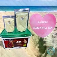 ราคา [COD] ( นูทรีเบิร์ด A21 ) Nutribird A21 แบ่งขาย อาหารนกลูกป้อน อาหารนก อาหารลูกป้อน อาหารป้อนลูกนก นกแก้ว นกสายพันธุ์ นก ลูกนก (1732719157150057973)