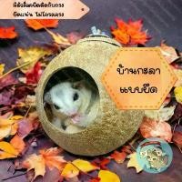 ราคา V ( บ้านกะลายึด ) บ้านกะลา กะลา บ้านกะลาชูก้า กะลาชูก้า ชูการ์ นก สัตว์เลี้ยง สัตว์เล็ก กระรอก กระแต COD (1732566199592454013)