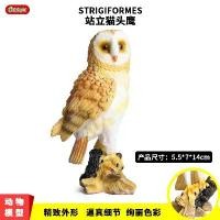 ราคา ของเล่นโมเดลสัตว์ป่า, การจำลองความรู้ความเข้าใจของเด็ก, นก, นกอินทรี, นกฮูก, สีทึบ, ของเล่นโมเดลสัตว์ (1732286998103622958)