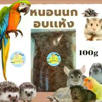 ราคา ♂(MMPetShop)หนอนนกอบเเห้งขนาด100g 200g และ 500g อาหารสำหรับหนูแฮมสเตอร์ นก กระรอก เม่น และสัตว์อื่นๆ✣ (1732611215937733994)