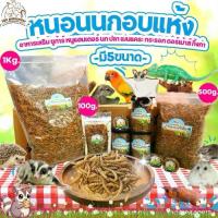 ราคา ✮หนอนนกอบแห้ง อาหารเสริมหนูแฮมเตอร์ ชูก้าร์ไกลเดอร์ นก ขนมชูการ์ไกลเดอร์ อาหารเสริมชูก้าร์✴ (1732498737846978085)