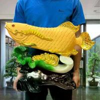 ราคา ปลา ปลามังกร ปลาทอง ปลามังกรทอง ปลามงคล จีน ปลาอโวาน่า บน ผักกาด พร้อมส่ง (1729619282164484151)