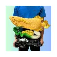 ราคา ปลา ผักกาด ปลามังกร ปลาทอง ปลามังกรทอง ปลามงคล จีน ปลาอโวาน่า บน ผักกาด ปลามังกรยาว20นิ้ว (1729649849111447727)