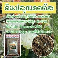 ราคา ดินปลูกแคดตัส กระบองเพรช cactus สมุนไพร ดินปลูก ไม้ฟอกอากาศ ไม้ด่าง เพาะเมล็ด กระบองเพชร ดินปลูกไม้อวบน้ำ (1732071466348086469)