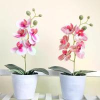 ราคา บอนสีประดิษฐ์, เครื่องประดับขายร้อน, กระถางต้นไม้, ดอกไม้ประดิษฐ์, อุปกรณ์ตกแต่งบ้าน, พืชสีเขียว, ดอกไม้ปลอม ดอกไม้ เหล็ก พระเครื่อง ชมจันทร์ พาน ดอกบัว ตํา หนิ หลวงพ่อโสธร กรม ต (1732028604375074009)