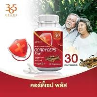 ราคา ส่งฟรี คุ้มสุด ผลิตภัณฑ์เสริมอาหาร คอร์ดี้เซป พลัส 1 กระปุก | หลอดเลือด ร่างกาย (1732766107229848713)
