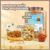 ราคา 1500ml หนอนอาหาร อาหารหนูแฮมเตอร์ หนอนอบแห้ง หนอนอาหารแห้ง สัตว์เลี้ยงแมลงแห้ง หนอนนก ขนมสำหรับชูการ์ไกลเดอร์ ขนมสำหรับแฮมสเตอร์ เนื้อแท่งโภชนาการสำหรับชินชิล่า หนูแฮมสเตอร์ หนูเ (1732376376420828388)