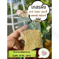 ราคา เกสรผึ้ง สำหรับ ชูการ์ไรเดอร์ บุชเบบี้ ดอร์เมาส์ แฮมเตอร์ ขนมสำหรับชูการ์ไกลเดอร์ ขนมสำหรับแฮมสเตอร์ เนื้อแท่งโภชนาการสำหรับชินชิล่า หนูแฮมสเตอร์ หนูเดือย หนูขนปุย อาหารหนอนนก อา (1732376906713040100)
