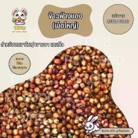 ราคา ข้าวฟ่างแดง อาหารนก หนูแฮมสเตอร์ อาหารนกเขาใหญ่ เขาชวา นกแก้ว สะอาด ร่อนฝุ่นทุกถุง (แบ่งขาย 250G / 500G / 1KG) (1731221601475266896)
