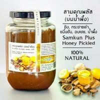 ราคา สินค้าใหม่ J509 สามคุณพลัส บ่มน้ำผึ้ง 480 ml. Sam Kun Plus | ขิง ขมิ้นชัน กระชายดำ อบเชย น้ำผึ้ง สามคุณ (1730387341549209716)