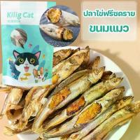 ราคา ไข่ปลาดุก, ไข่ปลาดุกแช่แข็ง, อาหารแมวแห้ง, ไข่ปลาดุกทั้งตัว, อาหารแมวธรรมชาติ, แมวชอบกิน, ขนมแมว (1732453736917009424)