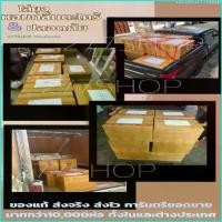 ราคา Incubus17shop ธูป ไล่ ยุง 250ก้าน ธูปกำจัดยุง ธูปสมุนไพรไล่ยุง ตะไคร้หอมไล่ยุง ไล่ยุง ตะไคร้ไล่ยุง (1729721595912817035)