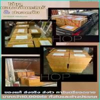 ราคา Deepsea13shop ธูป ไล่ ยุง 250ก้าน ธูปกำจัดยุง ธูปสมุนไพรไล่ยุง ตะไคร้หอมไล่ยุง ไล่ยุง ตะไคร้ไล่ยุง (1729721606200789233)