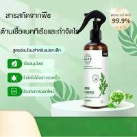 ราคา สเปรย์กำจัดไร, พริกเขียวสมุนไพร Yunnan, สำหรับใช้ในบ้าน, ไม่มีการสัมผัสกับแสงแดด, ไม่มีการซัก, สเปรย์ฆ่าไร, เวทมนตร์ ธูป ไล่ยุง ของ แท้ ยุง ตะไคร้หอม ครีม ทา กัน ยุง เด็ก (1731390642046797253)