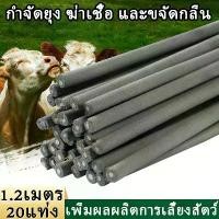 ราคา ธูปกันยุงสมุนไพร ธูปกำจัดยุง ธูป ไล่ ยุง ธูปตรามังกร ธูปหอมไล่ยุง ผลิตจากวัสดุธรรมชาติ ครีม ธูปสมุนไพรไล่ยุง ตะไคร้ไล่ยุง ธูปตะไคร้ไล่ยุง ธูปกันยุง กันแมลงสมุนไพรธรรมชาติปลอดภัยต (1731948662208234875)