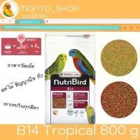 ราคา [COD] อาหารนก NutriBird B14 800g (1732510051028468868)